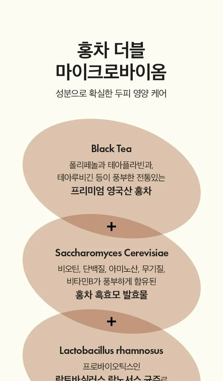 [뿌리볼륨/탈모증상완화] 아닐로 블랙티 너리싱 두피 샴푸 450ml 상세페이지 7